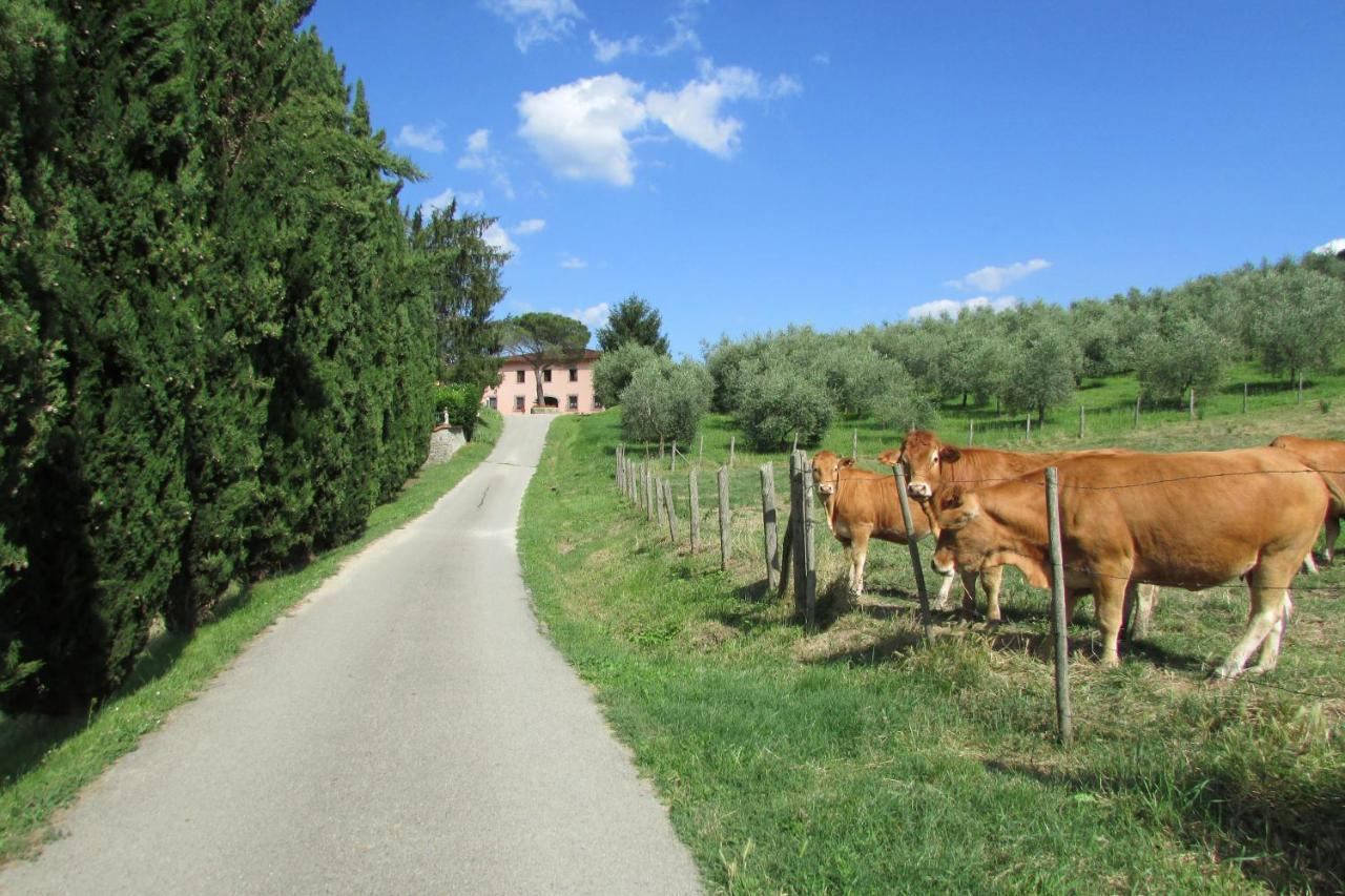 Trebbiolo Villa Dicomano Kültér fotó