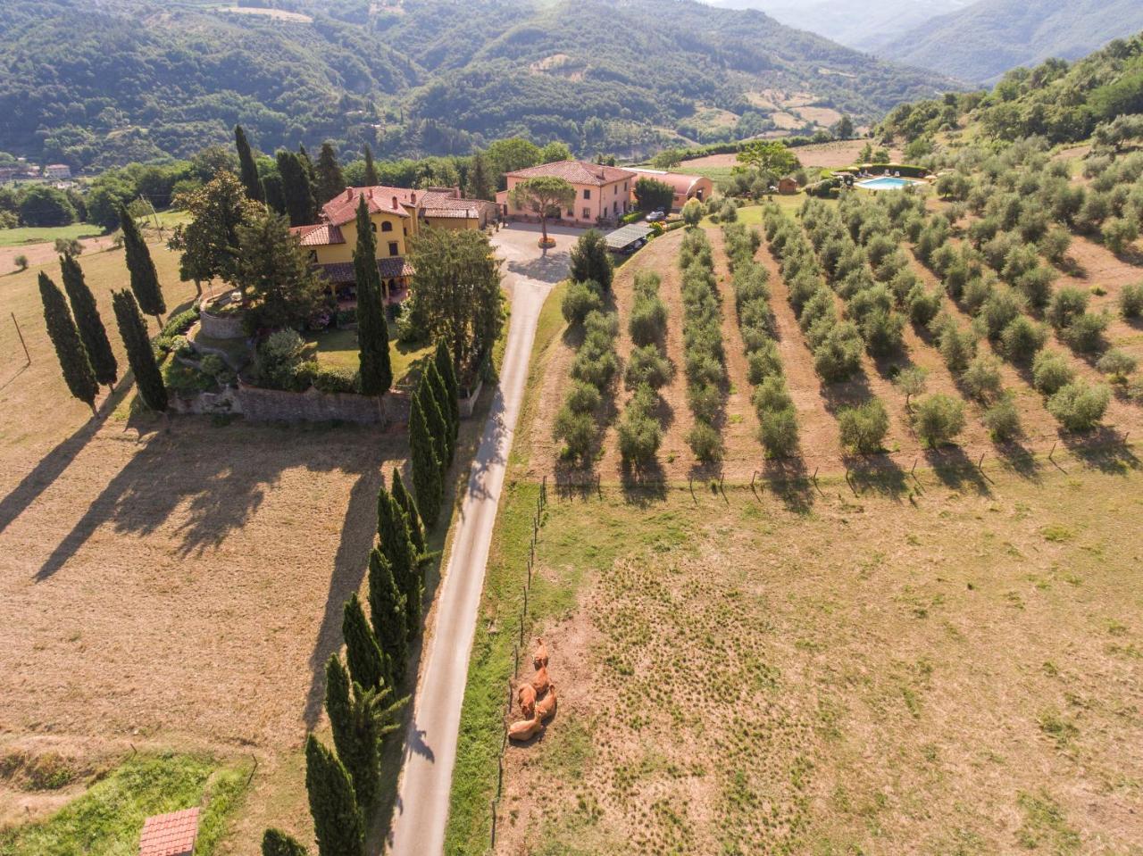 Trebbiolo Villa Dicomano Kültér fotó